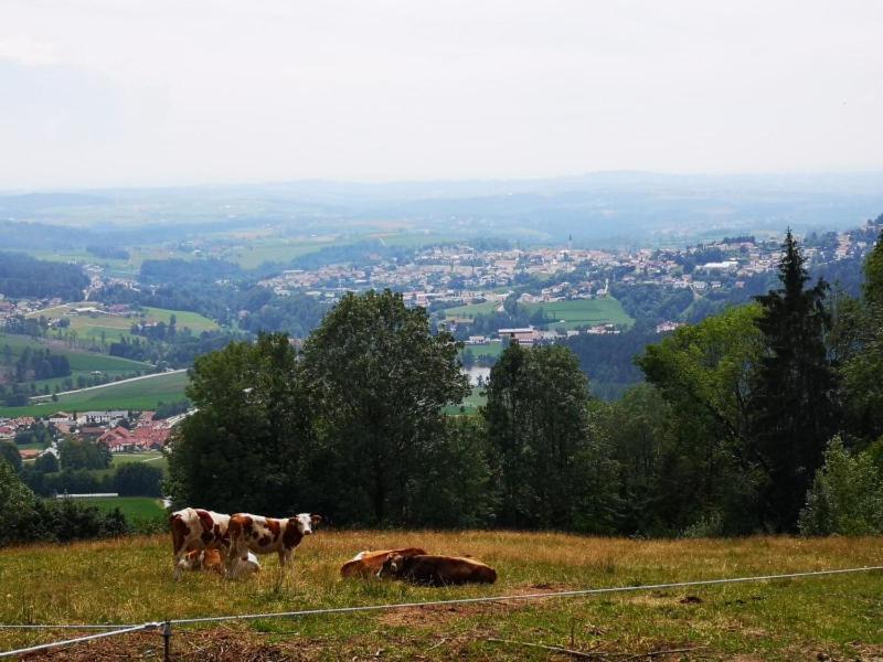 Ferienwohnung Waldblick Hauzenberg Exteriér fotografie