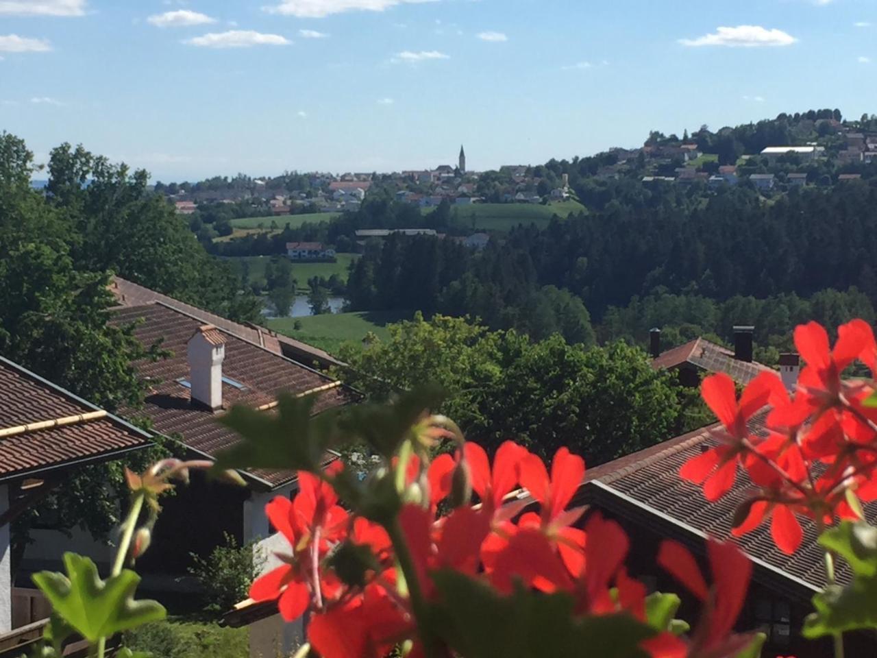 Ferienwohnung Waldblick Hauzenberg Exteriér fotografie